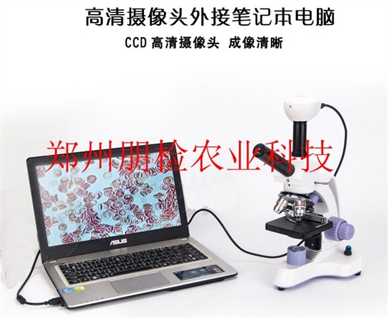 ֲ�ﲡ�x���z�y�x